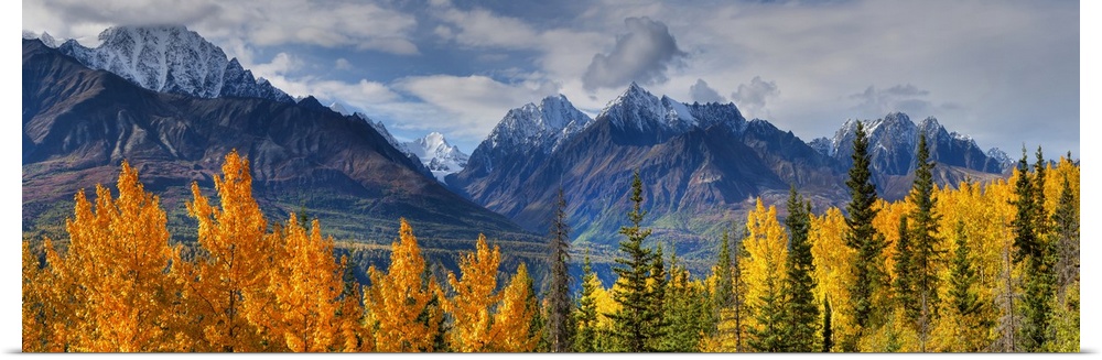 Panoramic View Of The Fall Foliage And Snowcapped Chugach Mountains, Alaska
