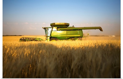 Paplow Harvesting Company custom combines a wheat field, near Ray, North Dakota
