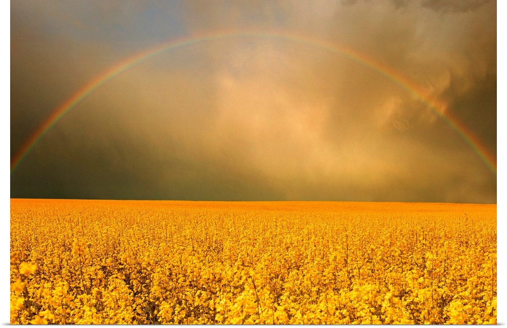 Rainbow Over Farmer's Field