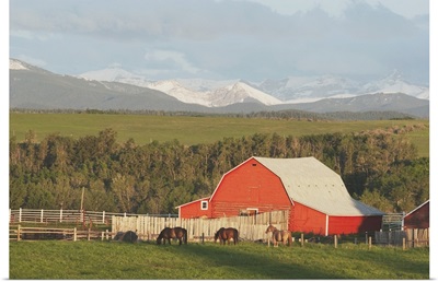 Red Barn With Horses Grazing