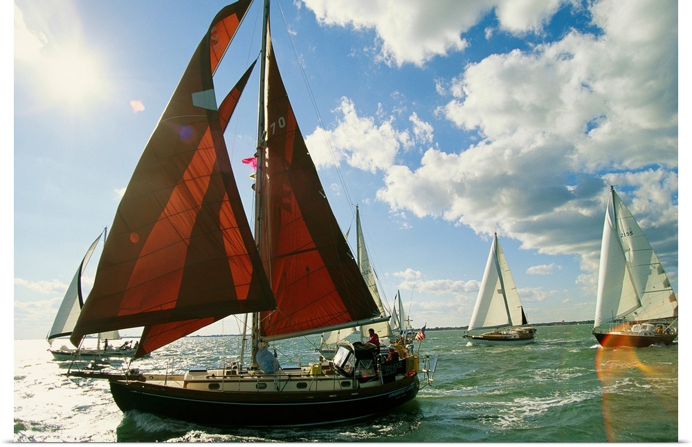 Red-sailed sailboat and others in a race on the Chesapeake Bay.