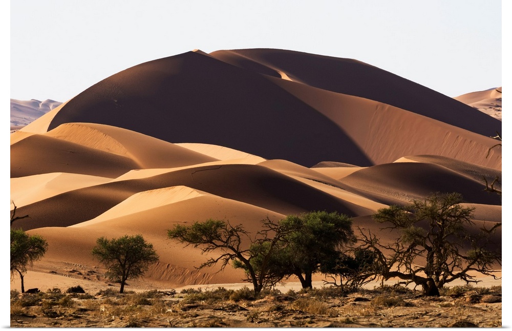Sunrise Light Illuminate The Large, Red Sand Dunes In Sossusvlei Which Is Part Of The Namib Desert, Namibia
