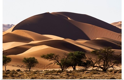 Red Sand Dunes In Sossusvlei, Namib Desert, Namibia