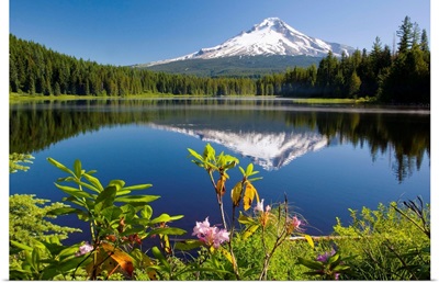 Reflection Of Mount Hood In Trillium Lake In The Oregon Cascades; Oregon