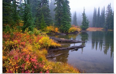 Reflection On Lake In Autumn, Mount Rainier National Park, Washington, USA