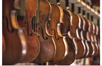 Repaired violins and violas on racks