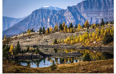 Rock Isle Lake In Autumn, Mount Assiniboine Provincial Park, British Columbia, Canada