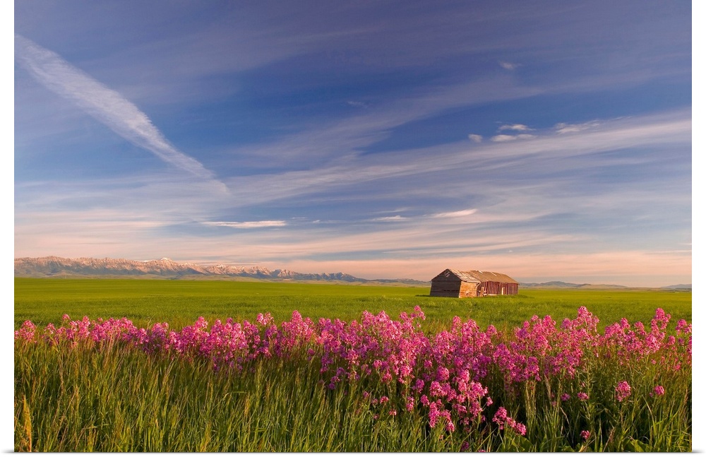 Rural Landscape, Alberta, Canada