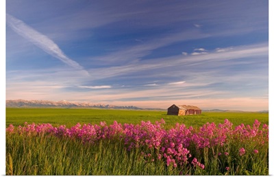 Rural Landscape, Alberta, Canada
