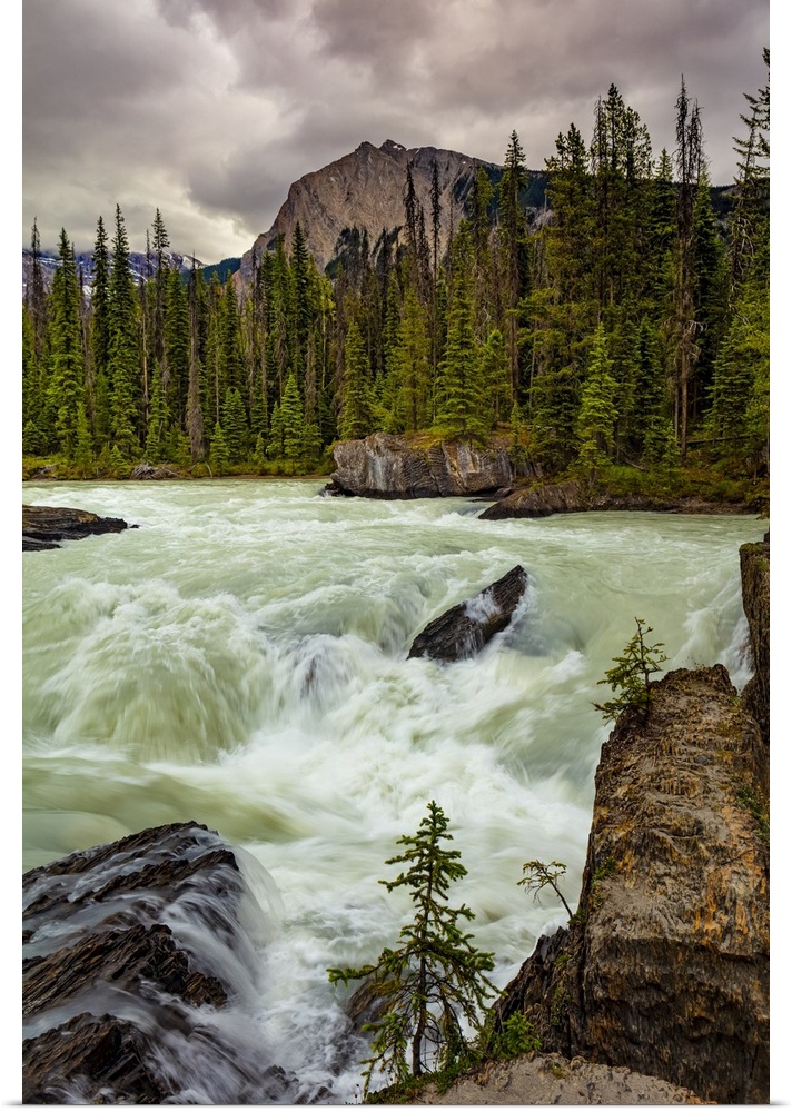 Rushing river and the Canadian Rockies in Yoho National Park; British Columbia, Canada