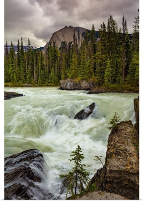 Rushing River And The Canadian Rockies In Yoho National Park, British Columbia, Canada