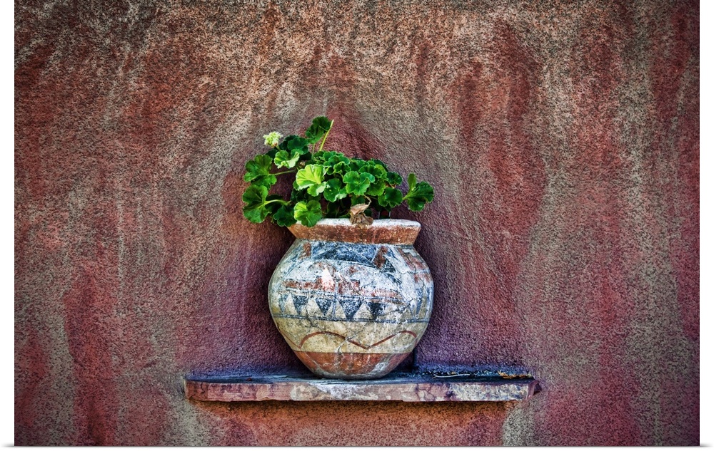 Rustic Detail Of Potted Plant Against Adobe Wall, New Mexico