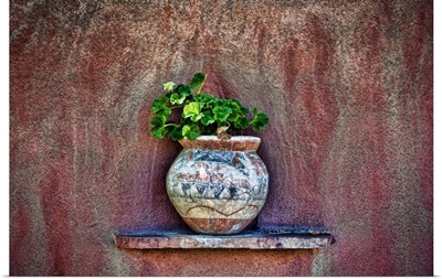 Rustic Detail Of Potted Plant Against Adobe Wall, New Mexico