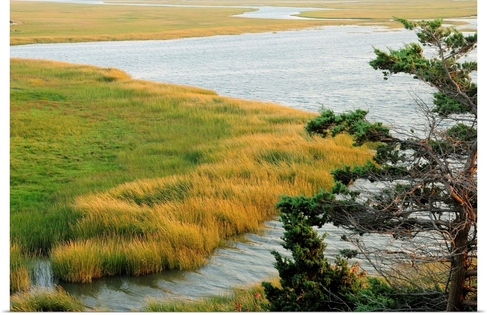 Scenic view of a salt marsh in the Cape Cod National Seashore.