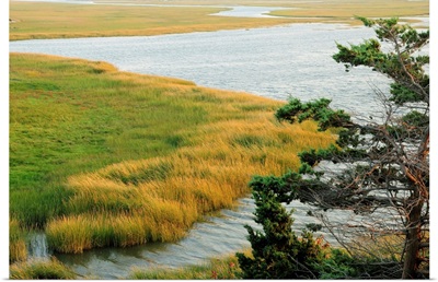 Scenic view of a salt marsh in the Cape Cod National Seashore.; Cape Cod National Seashore, Eastham, Massachusetts.