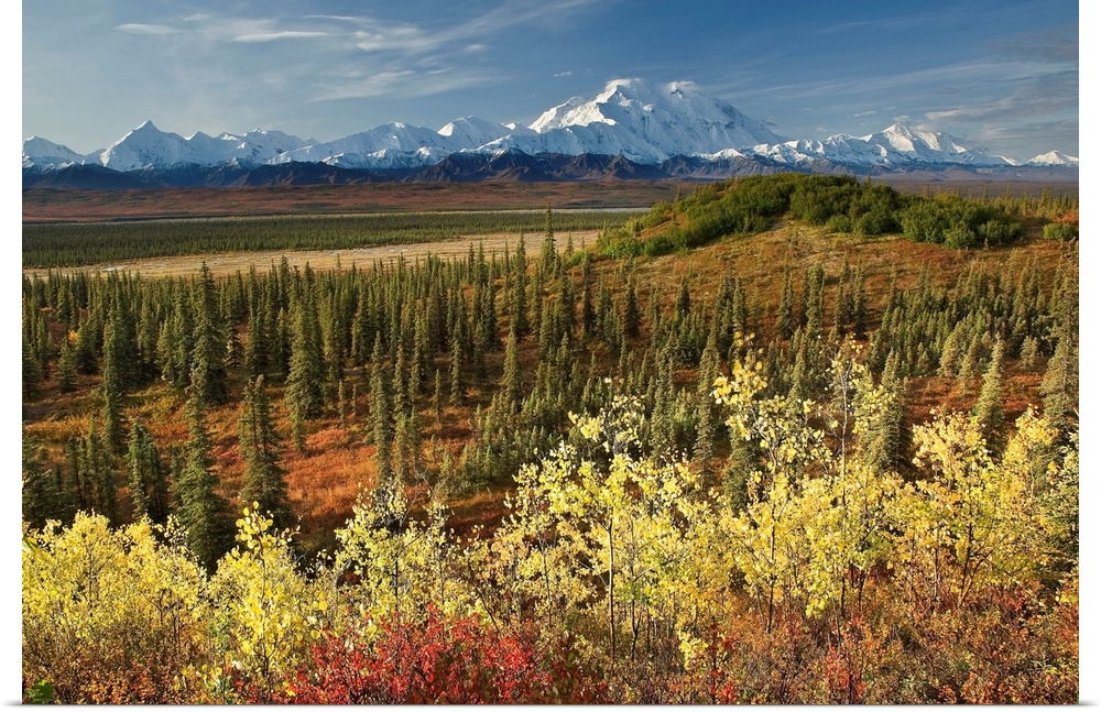 A scenic photograph with taiga and fall colors in the foreground and a view of the Alaska Range, Denali, McKinley River in...
