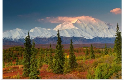 Scenic view of Mt. McKinley at sunrise with colorful tundra and boreal forest