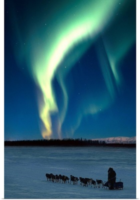 Scenic view of musher with Northern Lights overhead Alaska, Winter
