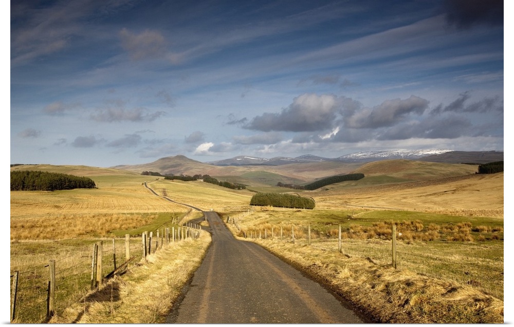 Scottish Borders, Scotland; A Road With Fields On Both Sides
