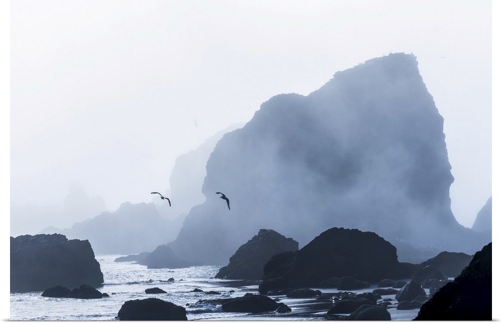 Sea stacks are silhouetted against fog at Ecola state park, cannon beach, Oregon, united states of America.