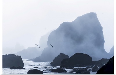 Sea Stacks Are Silhouetted Against Fog At Ecola State Park, Cannon Beach, Oregon