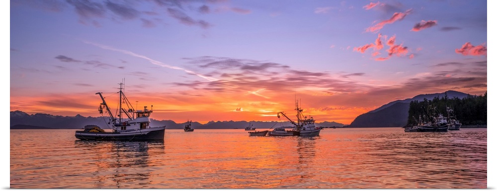 Seiners anchored in Amalga Harbor at sunset awaiting a commercial salmon opening, Southeast Alaska; Juneau, Alaska, United...