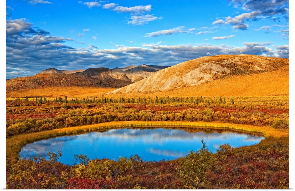 The Setting Sun Illuminates The Vibrant Colours Of The Tundra And A Pond Along The Dempster Highway; Yukon Canada