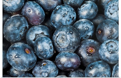 Several Fresh Blueberries