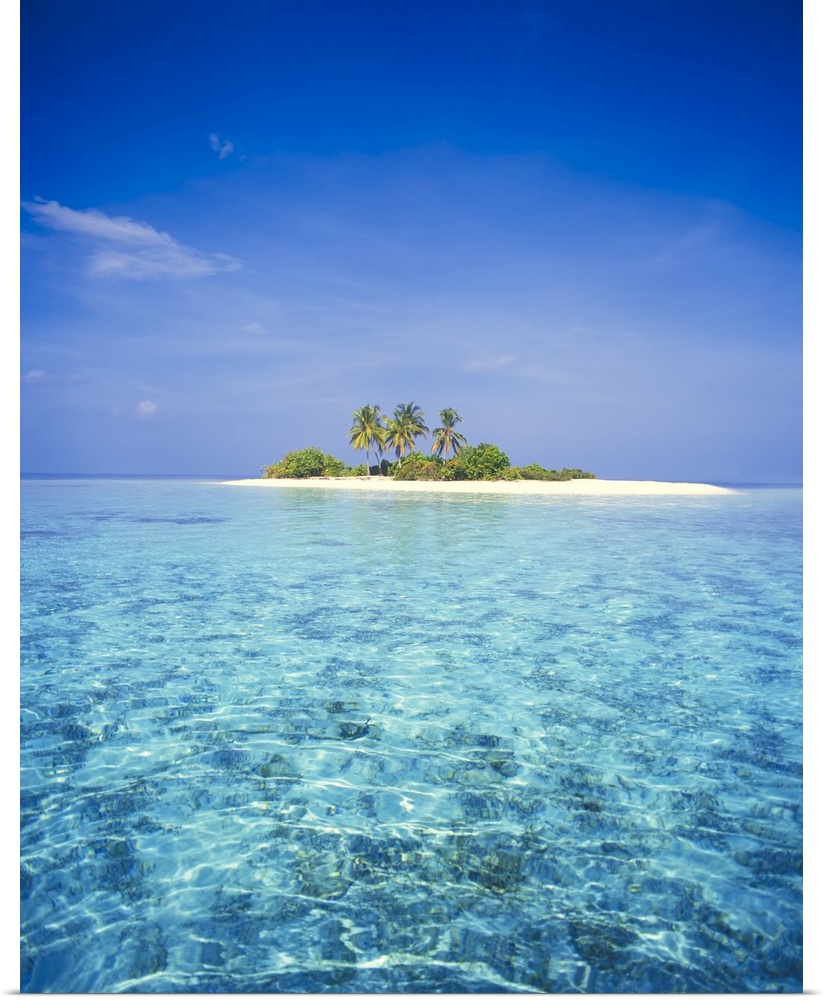 Small island in the Maldives with palm trees and white sand, Maldives