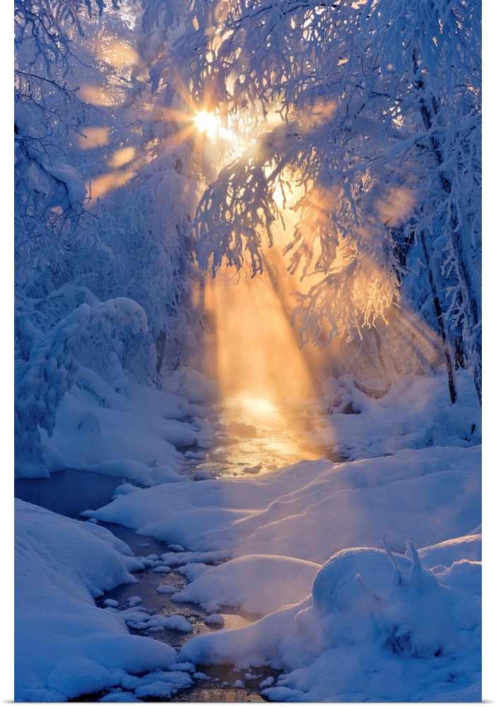 Small Stream In A Hoarfrost Covered Forest With Rays Of Sun, Alaska