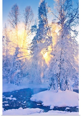 Small stream in a hoarfrost covered forest with rays of sun filtering through the fog