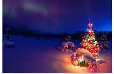 Small Tree Outdoors With Christmas Lights Under Starry Sky, Alberta, Canada