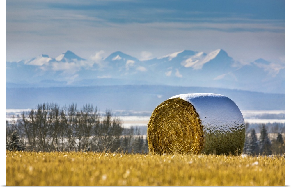 Snow-covered hay bale in a stubble field with snow-covered mountains and foothills in the background with clouds and blue ...