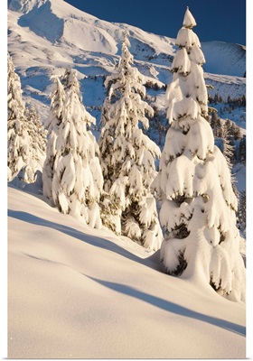Snow Covering A Mountain And Trees In Winter On Mount Hood In The Oregon Cascades
