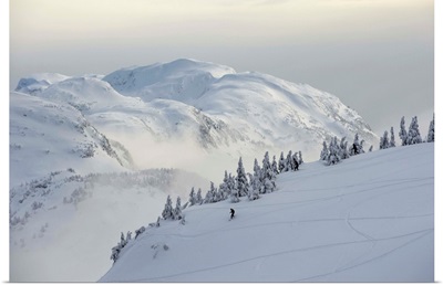 Snowboarders And Skiers Enjoy The Fresh Snow, Juneau, Alaska