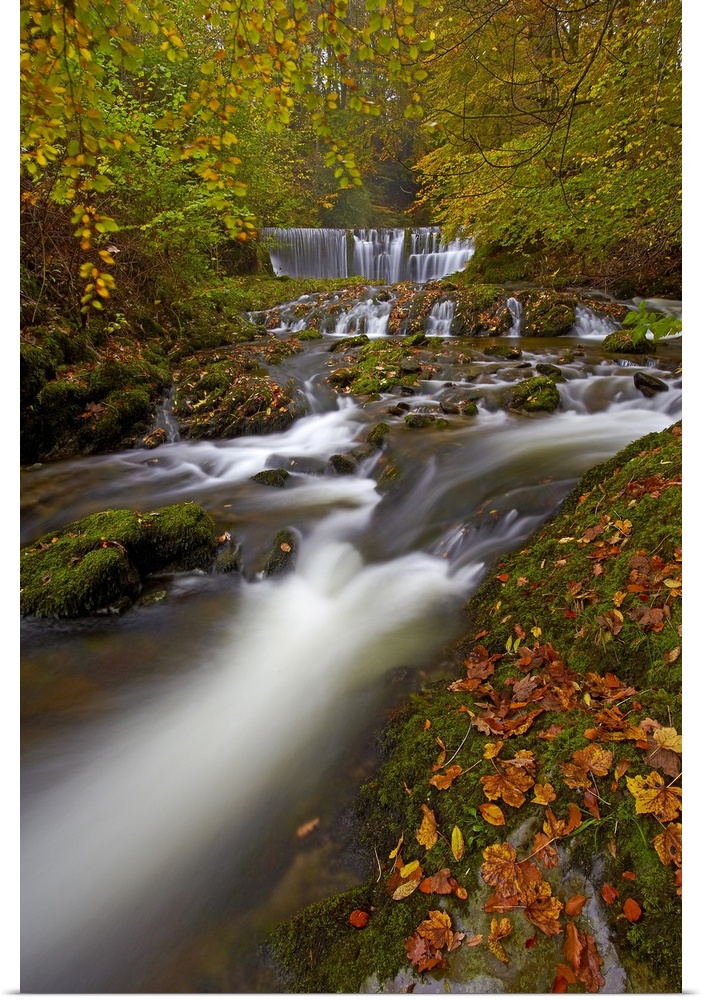 Stock Ghyll flowing over a waterfall through woodland in autumn.
