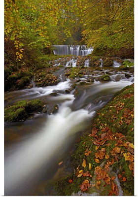 Stock Ghyll Flowing Over A Waterfall Through Woodland In Autumn