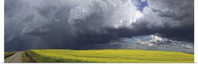 Storm clouds gather over a sunlit canola field and country road, Alberta, Canada