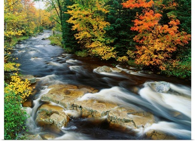 Stream Flowing Through Forest In Vermont