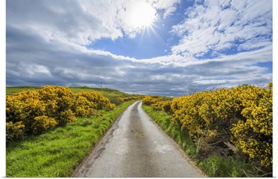 Sun Over Fields And Road Through Countryside In Springtime In Scotland, United Kingdom