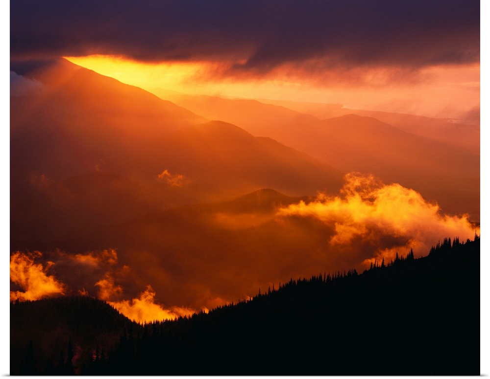 Sun setting behind mountain range, Olympic national park, Washington state, USA. Washington, united states of America.