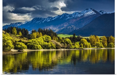Sunlit Trees Along The Lake Shore With Moutain Range At Glendhu Bay, New Zealand
