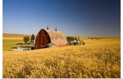 Sunset Barn And Wheat Field, Steptoe Butte, Washington