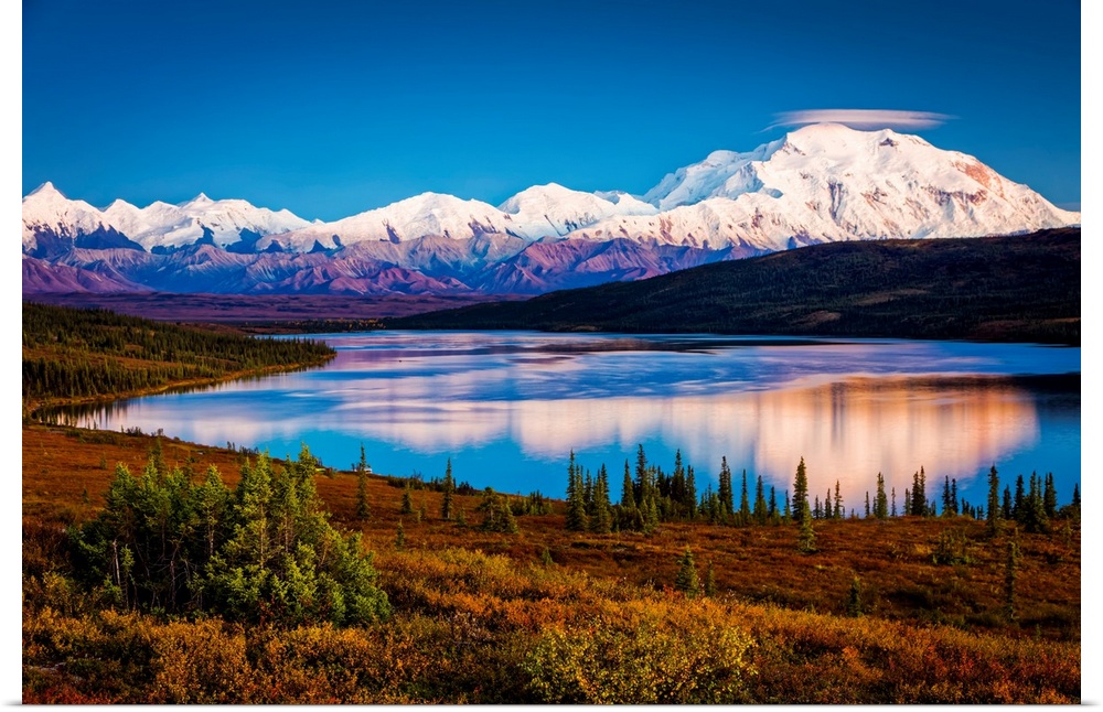 Sunset glow on Mount Denali (McKinley) reflects on Wonder Lake with pastel sky, Denali National Park and Preserve in autum...