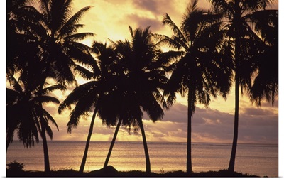 Sunset (Palm Trees In Silhouette), Aitutaki, Cook Islands