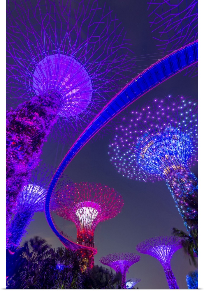 Supertrees of Gardens by the Bay with illuminated sweeping high level walkway.