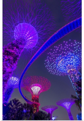 Supertrees Of Gardens By The Bay With Illuminated Sweeping High Level Walkway