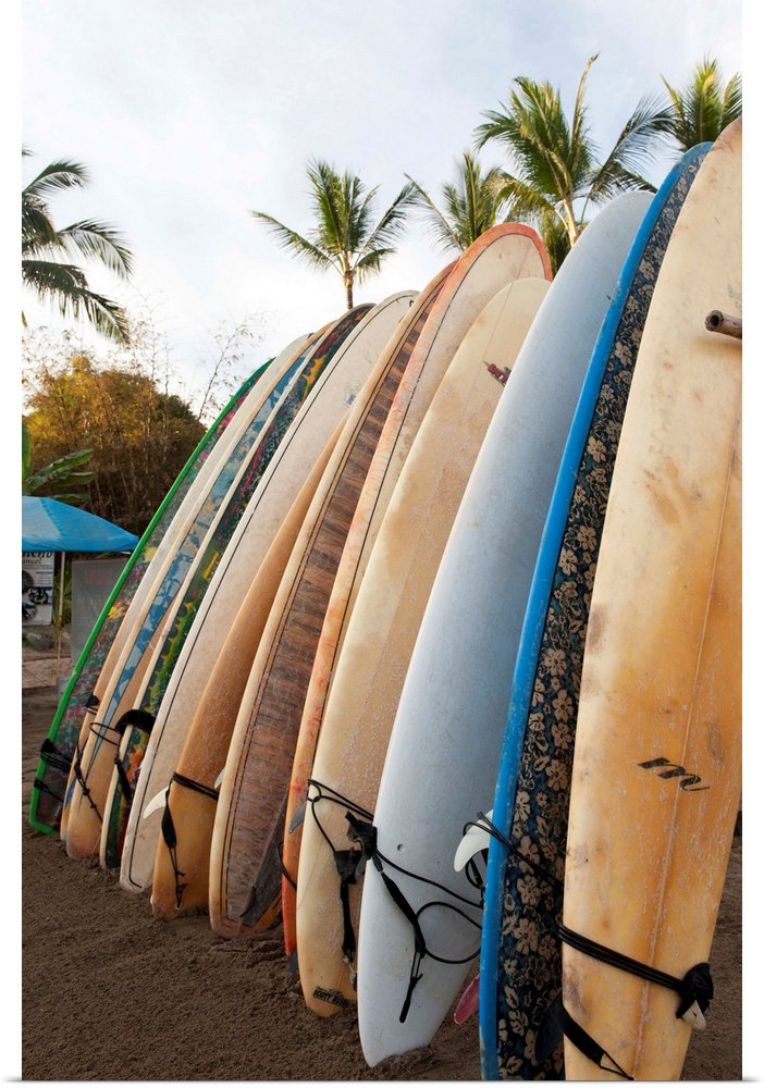 Surfboards Standing Up Against A Rack On The Beach, Sayulita, Mexico
