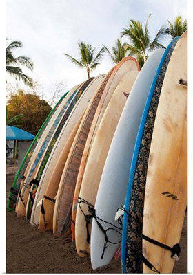 Surfboards Standing Up Against A Rack On The Beach, Sayulita, Mexico