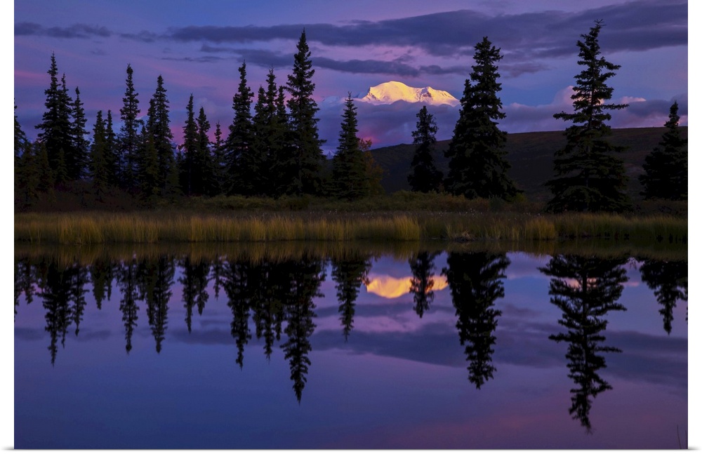Tall trees reflected in a pond with Mt. McKinley in the distance.